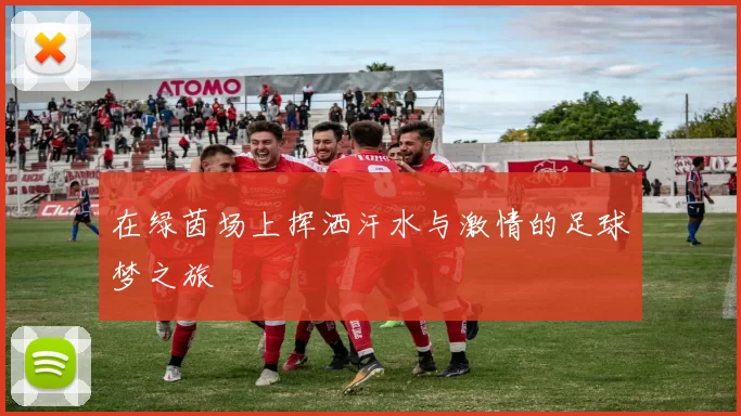 在绿茵场上挥洒汗水与激情的足球梦之旅